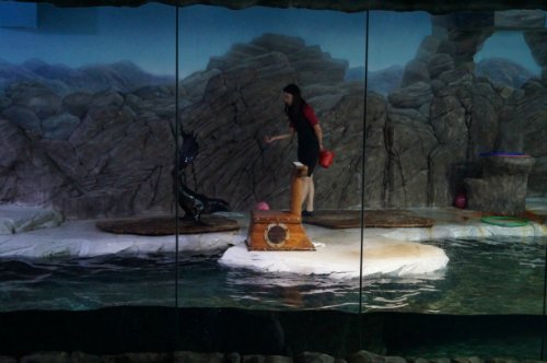 Воронежский океанариум — Туризм и путешествия: фотоотчеты из поездок