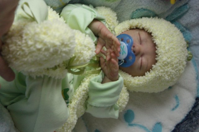 Мальчик лимончик... Маизик Вишни Виктории