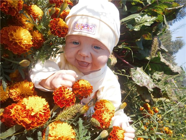 Кукла реборн Дениска — Куклы Реборн (Reborn): работы мастеров