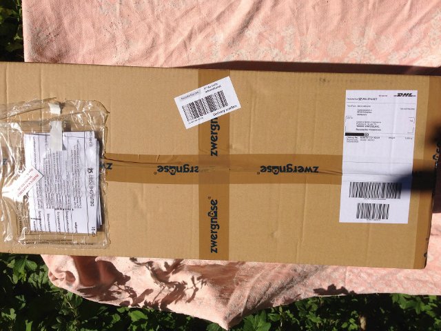 Zwergnase. Anneli. Распаковка и фотосессия