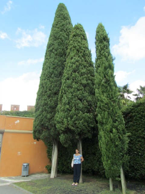 "Моя Италия". Часть 3 - Виареджо, Лукка, Пиза