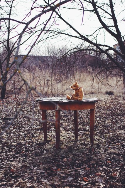 Старый забытый друг | Бэйбики Старый забытый друг — Авторские мишки Тедди и друзья: фото