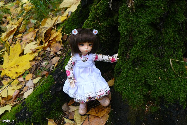 Вот так погуляли или Как у нас появилась кукла БЖД LittleFee Ante Elf (фото 8)