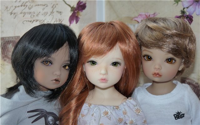 Семья Iplehouse или Иплов много не бывает (фото 3)