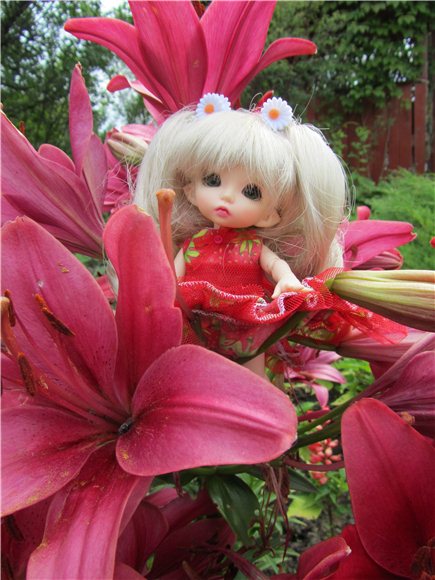 Дюймовочка. Мэгги в саду | Бэйбики Дюймовочка. Мэгги в саду — Куклы Fairyland (ФэйриЛэнд): BJD (БЖД) (фото 8)