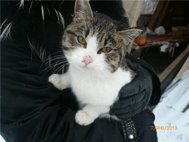 Кукла Света и Рождество — Советские винтажные куклы (СССР): Ленигрушка (фото 7)