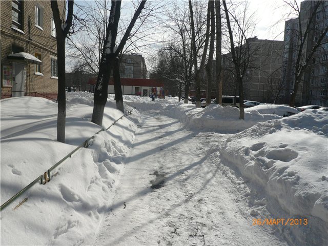 Малышка Блайзочка. Прогулка (фото 6)
