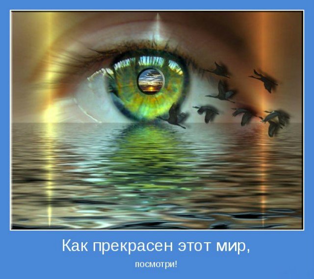 Как прекрасен этот мир, посмотри... "Хороший фотограф тот, кто сумеет выстроить на одной оси глаз, голову и сердце"