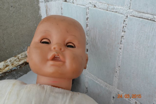 Неожиданный подарочек. Что делать (фото 2)