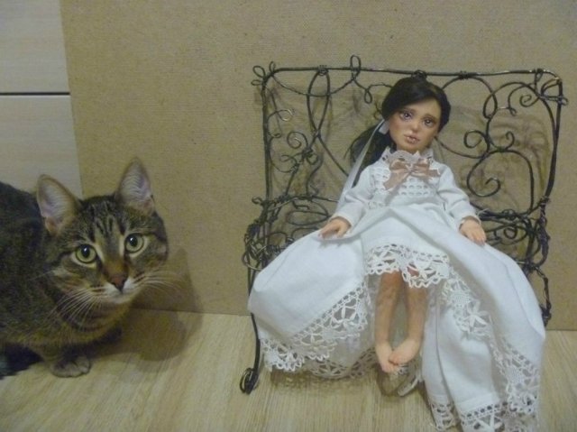 Моего кота не волнуют конкурсы, он просто любит фотографироваться