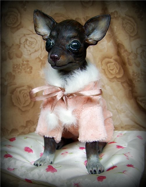 Подружка--той-терьер. ООАК Светланы Гришко