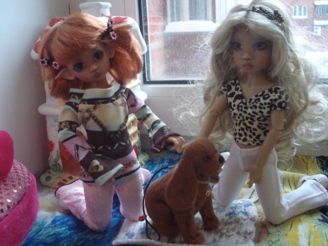 Ура! Мне подарили собаку! Лили и Тилли от Kaye Wiggs обзавелись питомцем (фото 9)