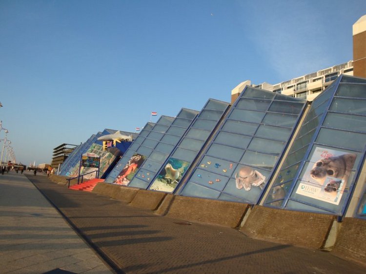 Путешествие по Схевенингену (Scheveningen, Holland)