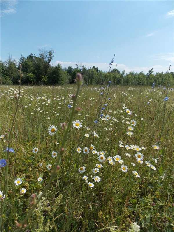 Город детства - Аша — Туризм и путешествия: фотоотчеты из поездок (фото 6)
