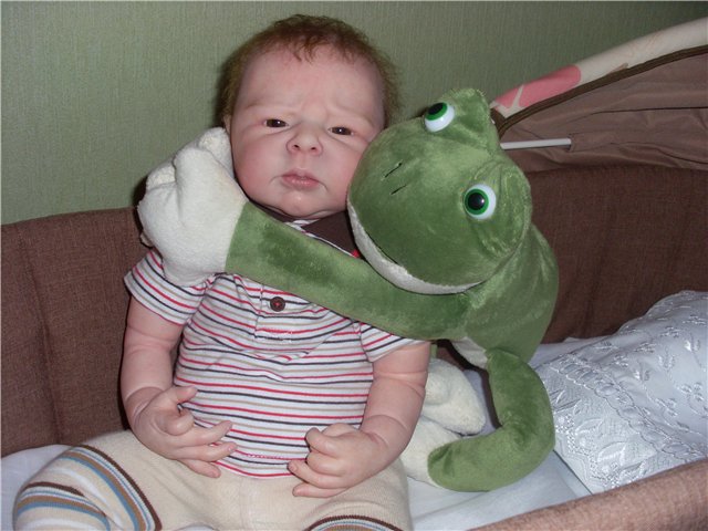 Как на нас напала ...жаба (фото 3)