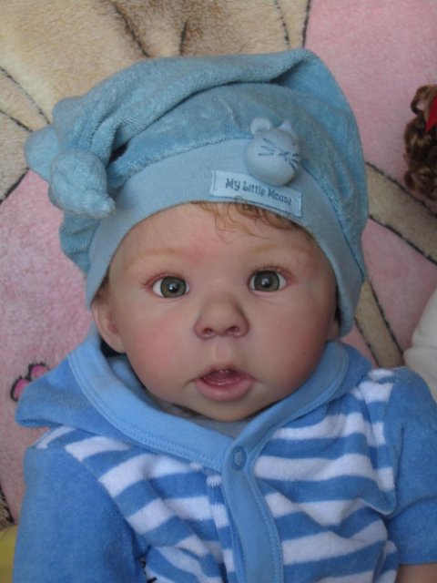 У нас появились новенькие