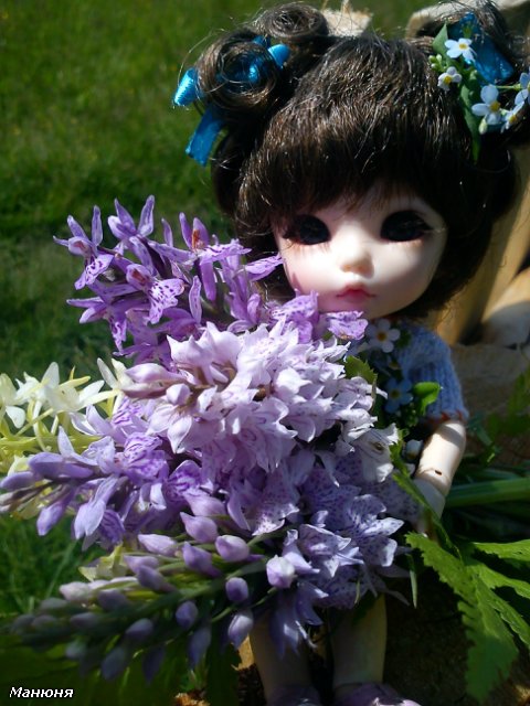 Манюнькино лето-2 (Полевые цветы) PukiFee Ante (фото 7)