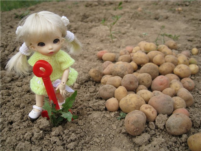 Маленькая дачница! Пукифи Анте Элис | Бэйбики Маленькая дачница! Пукифи Анте Элис