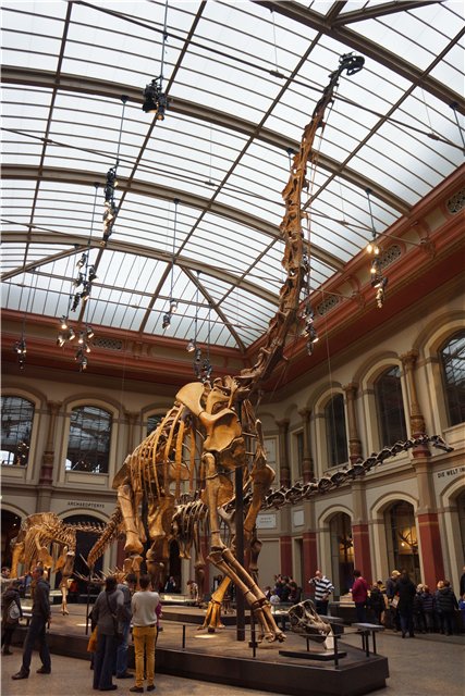 Взятие Берлина. Часть 3. Аква-дом, Улыбка бегемота и Прототип куколок Шильдкрот (фото 7)