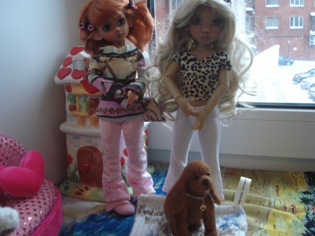 Ура! Мне подарили собаку! Лили и Тилли от Kaye Wiggs обзавелись питомцем (фото 5)