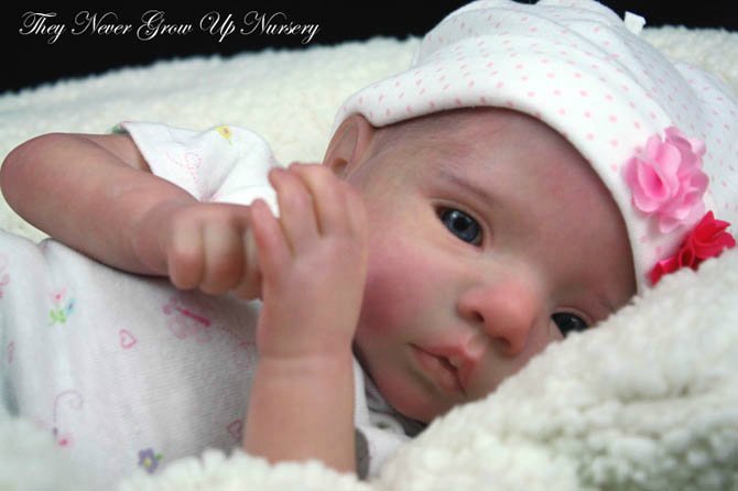 Новый молд куклы реборн Анна-Лиза от Дианны Эффнер