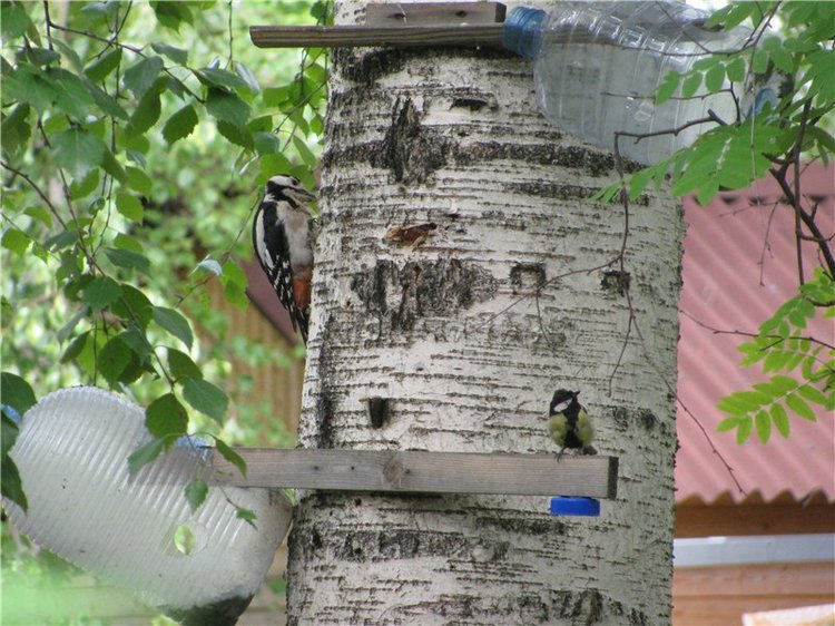 Моя маленькая озорница. Кукла Мариты Винтерс (Marita Winters) | Бэйбики Моя маленькая озорница. Кукла Мариты Винтерс (Marita Winters)