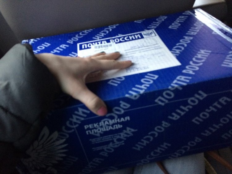 Мне всегда встречаются только добрые люди...или загадочная история поялвения у меня Бизо | Бэйбики Мне всегда встречаются только добрые люди...или загадочная история поялвения у меня Бизо