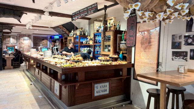 Пегий пёс, бегущий краем моря