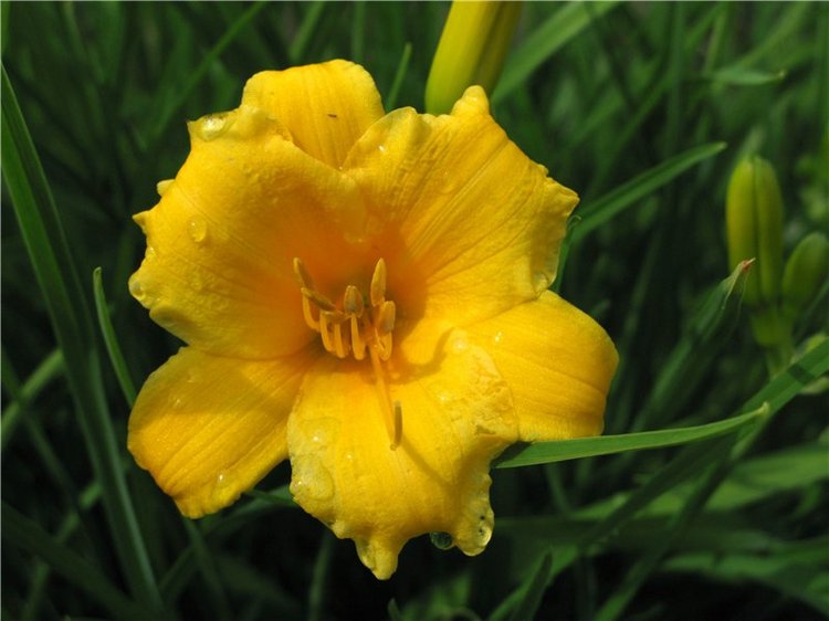 Кашин - город русского сердца. Часть седьмая. Вознесенский кафедральный собор