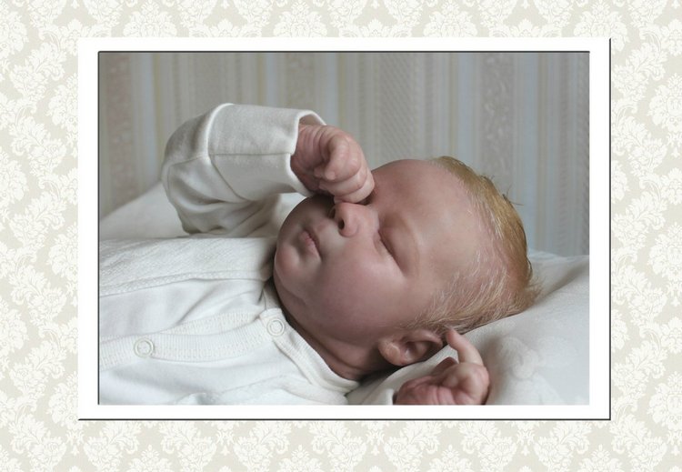 Реалборн Кимберли, сейчас принц Гарри