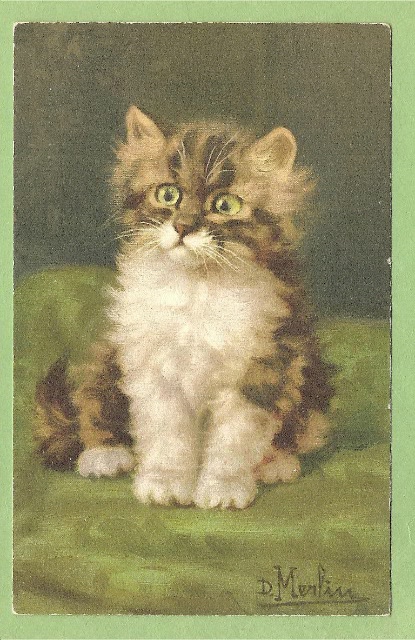 Пекрасное III - коротенько о котиках Merlin (фото 5)