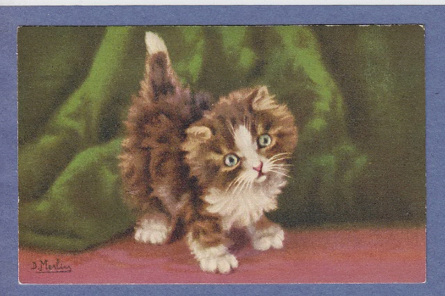 Пекрасное III - коротенько о котиках Merlin (фото 4)