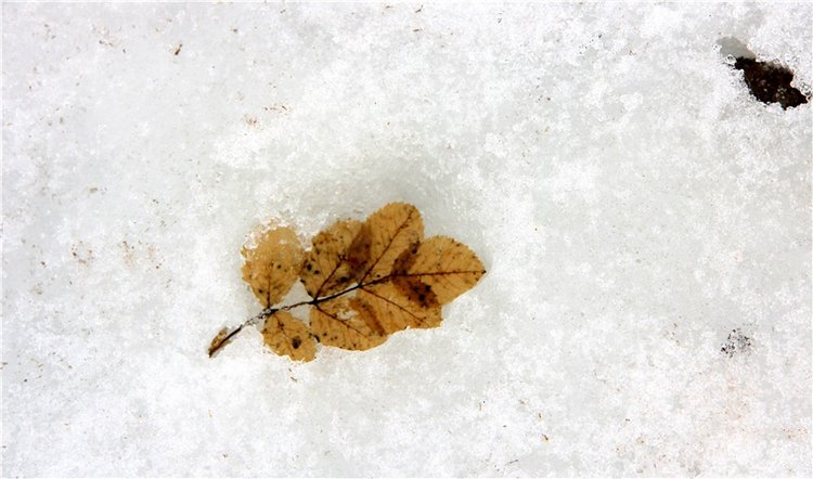 Весеннее путешествие. Продолжение