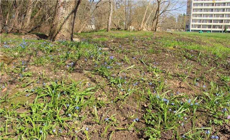 Майский день в Митино — Туризм и путешествия: фотоотчеты из поездок