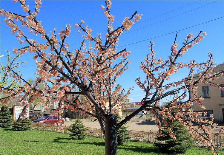 Путешествие в Бежецк — Культура