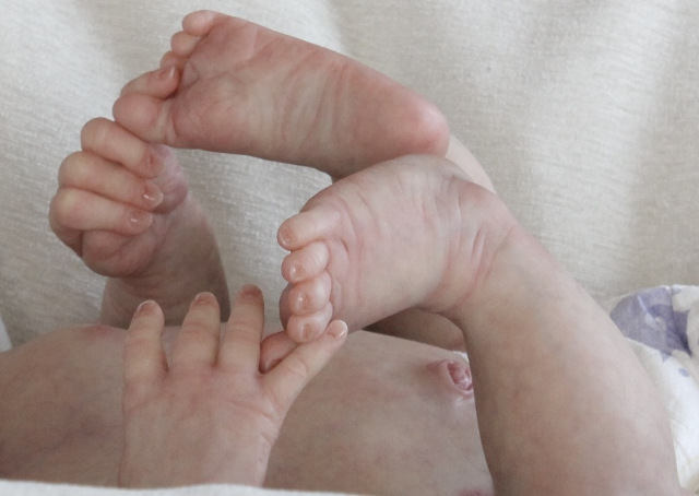 Сиренити от Екатерины Бойковой. Serenity Laura Lee Eagles