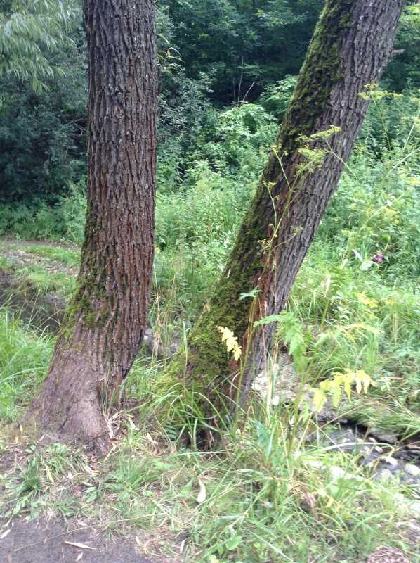 "Есть на Москве места такие..." ч.2. Тайны Коломенского оврага