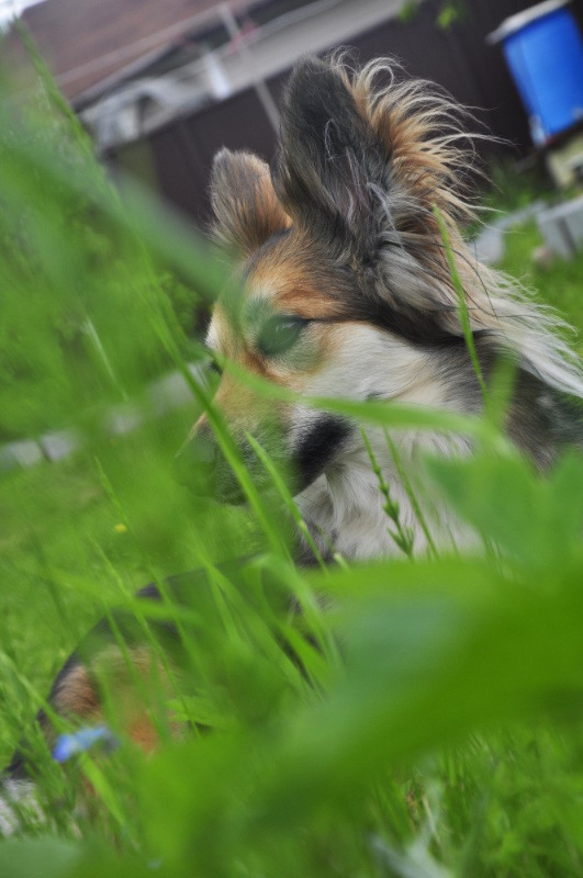 Отчёт за май и всё лето — Авторские мишки Тедди и друзья: фото