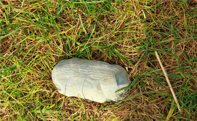 Тверской Водопад — Туризм и путешествия: фотоотчеты из поездок