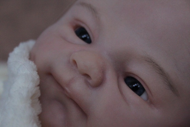 Моя прелесть кукла реборн Элины Кудрявцевой