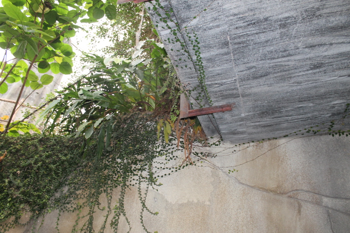 По Германии: зоопарк Лейпцига, часть 2