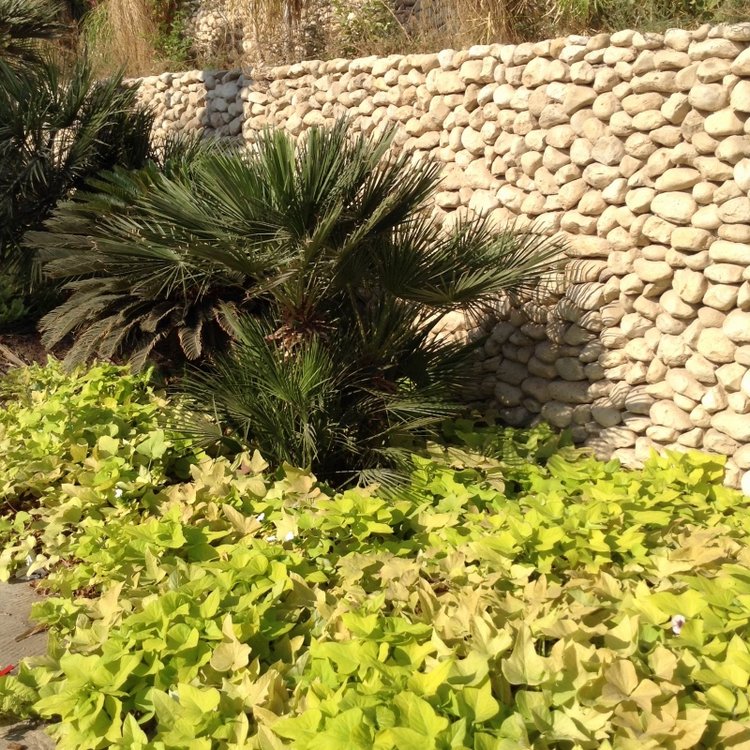 Белое солнце пустыни. Ч.1 Дорога к морю