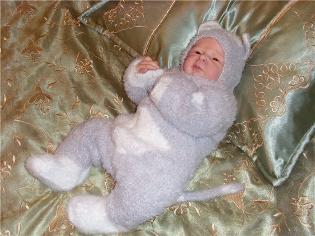 Кошачий барин. Кукла реборн Елены Андреевой (фото 7)