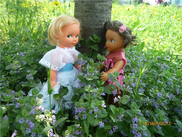 Розочка! Встреча сестренок