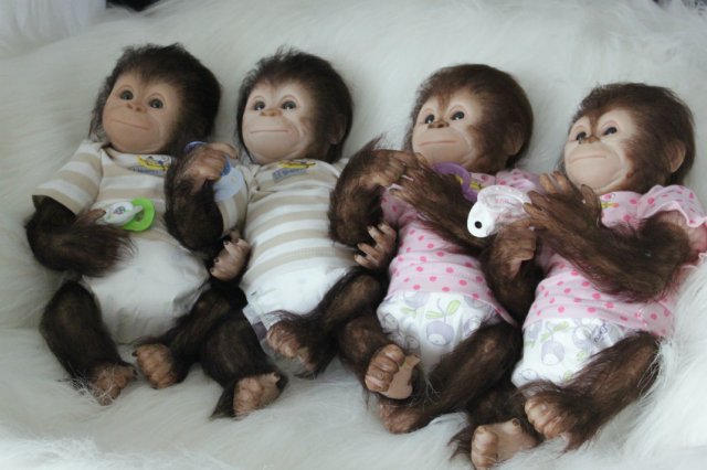 Развеселая компания (или мини-зоопарк)! Куклы реборн Вишни Виктории (фото 8)
