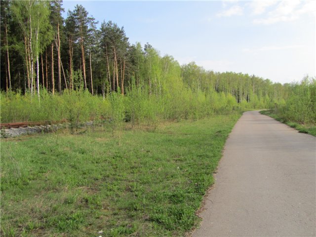 Весенний день... или как девочки ходили на пикник.№1