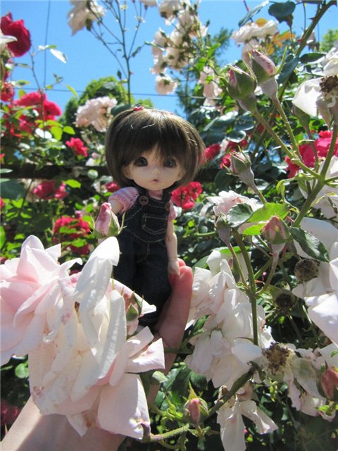 Как Майка в Сочи на кукловстречу ходила