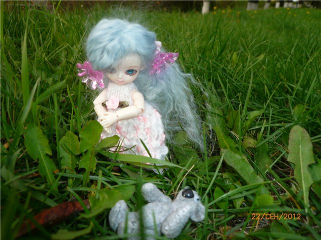 Сосенка Пин. Уютное гнездышко (фото 4)