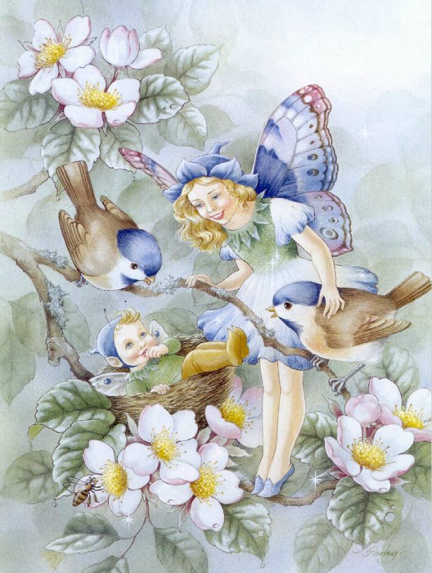 Мир эльфов и фей от Ширли Барбер (SHIRLEY BARBER)