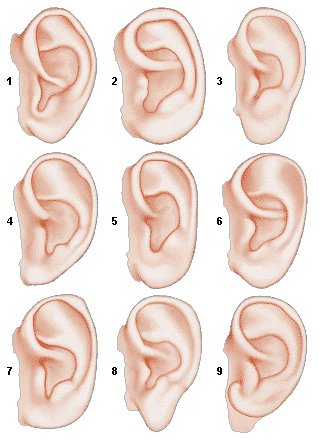 Немножко анатомии: Лепка и роспись кукол-детей